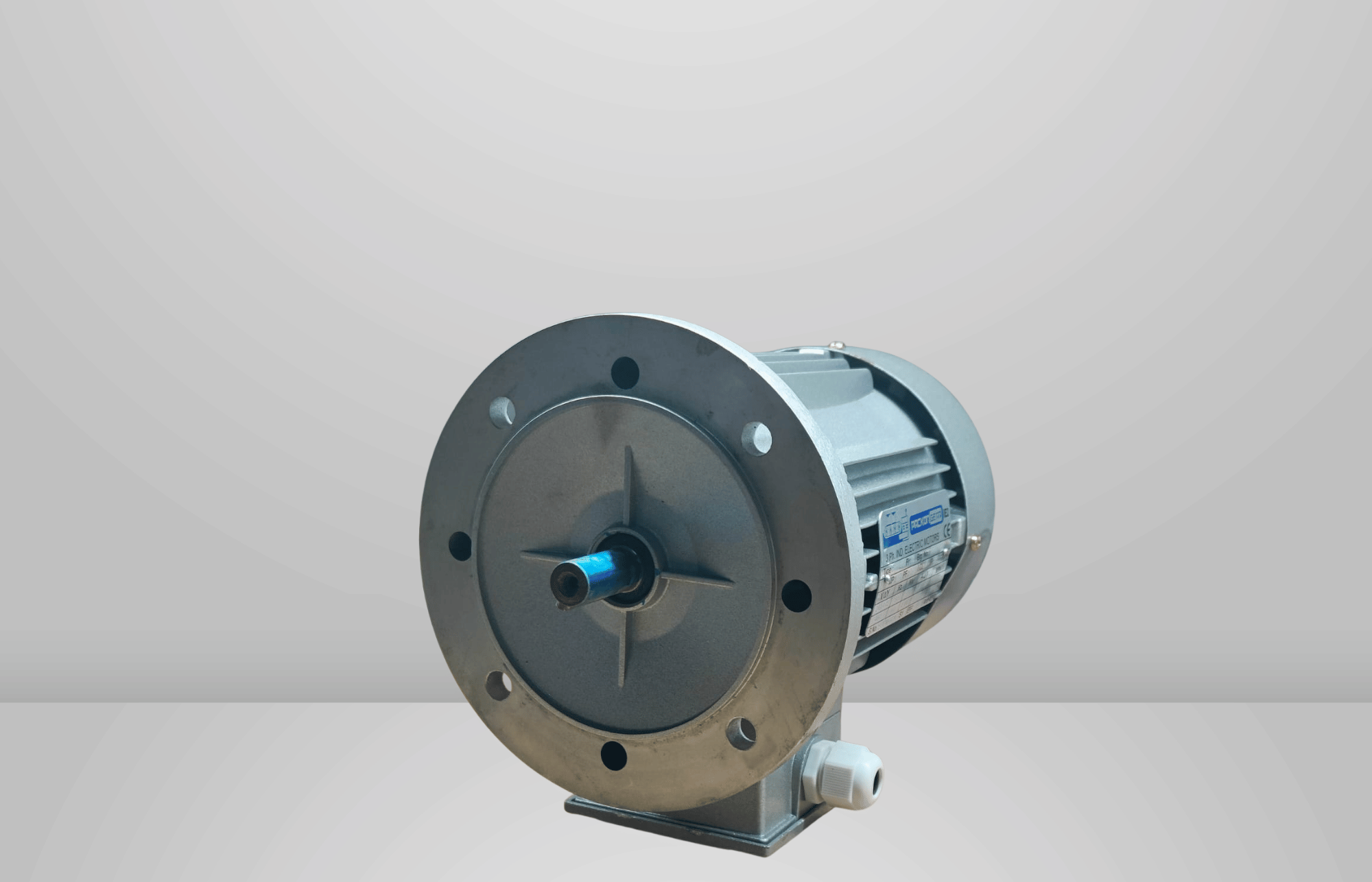 PACKON IE2 Geared Motor
